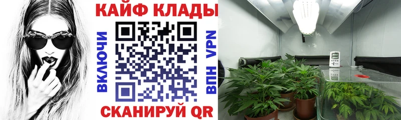 Купить закладку Кубинка Псилоцибиновые грибы  Меф мяу мяу  Канабис  СОЛЬ 