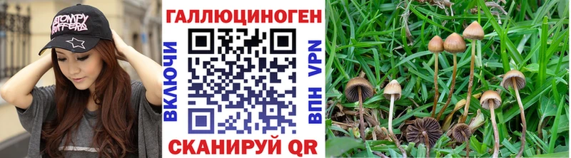 Галлюциногенные грибы ЛСД  Кубинка 