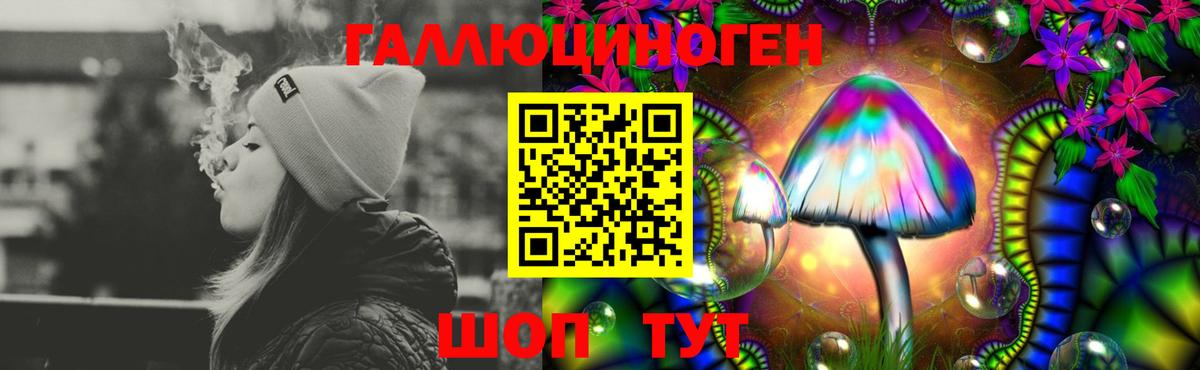 Псилоцибиновые грибы Psilocybine cubensis  Вход с VPN  Кубинка 